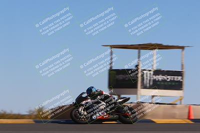 media/Mar-12-2022-SoCal Trackdays (Sat) [[152081554b]]/Turn 9 Side (145pm)/